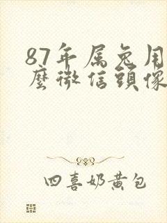 87年属兔用什么微信头像最好