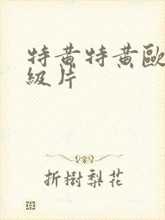 特黄特黄欧美一级片