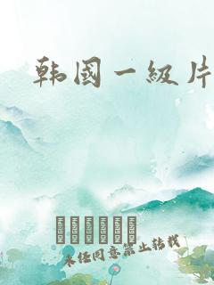 韩国一级片婷婷