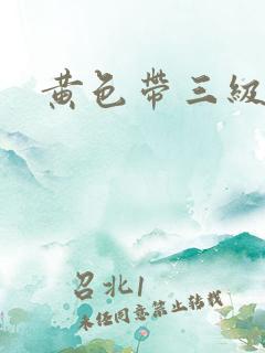 黄色带三级不卡