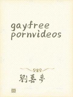 gayfreepornvideos