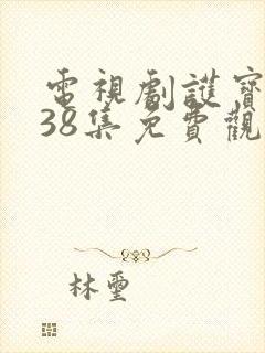 电视剧护宝风云38集免费观看