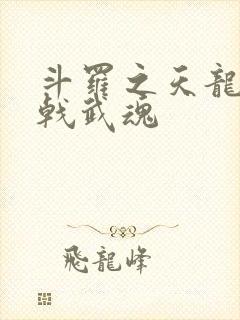 斗罗之天龙破城戟武魂