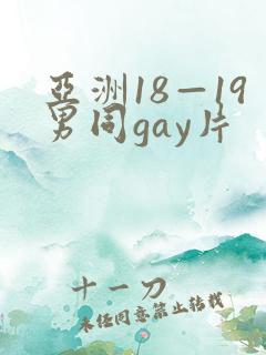 亚洲18—19男同gay片