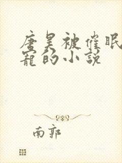 唐昊被催眠成男宠的小说