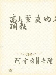 高h荤爽肉欲文调教