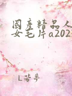 国产精品人妻熟女毛片a2023