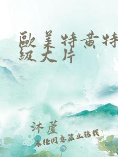 欧美特黄特色一级大片