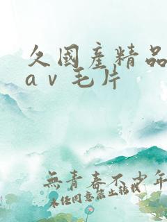 久国产精品人妻aⅴ毛片