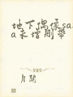 地下偶像sana未增删带