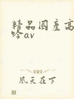 精品国产高潮呻吟av