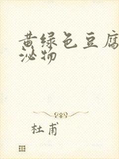 黄绿色豆腐渣分泌物