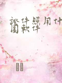 证件照用什么修图软件