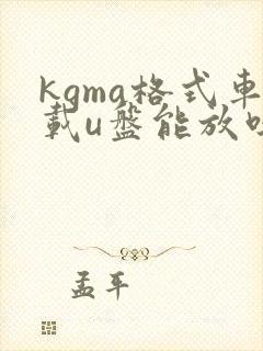 kgma格式车载u盘能放吗