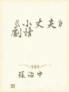 《小丈夫》分集剧情