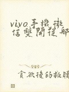 vivo手机微信双开从哪里设置