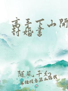 高手下山开局9封婚书