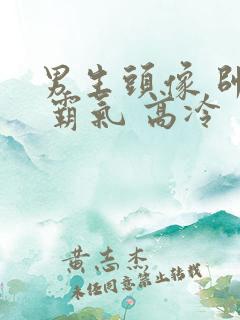 男生头像 帅气 霸气 高冷