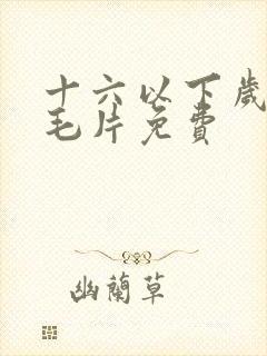 十六以下岁女人毛片免费