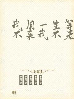我用一生等你你不来我不老歌词