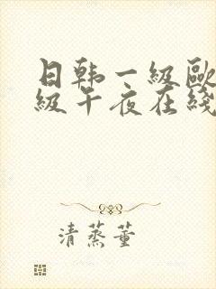 日韩一级欧美一级午夜在线视频