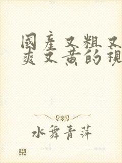 国产又粗又猛又爽又黄的视频69