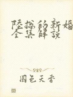 陆总的新婚哑妻全集解说