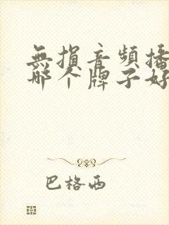 无损音频播放器哪个牌子好