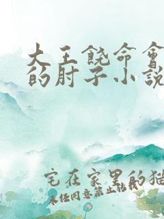 大王饶命会说话的肘子小说txt下载完整版