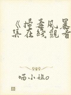 《扫毒风暴》全集在线观看