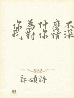 你为什么不明白我对你情深似海是什么歌