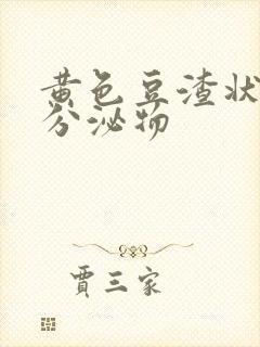 黄色豆渣状阴道分泌物