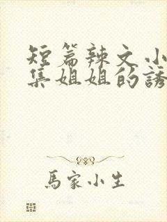 短篇辣文小说合集姐姐的诱惑