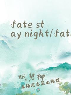 fate stay night/fate zero