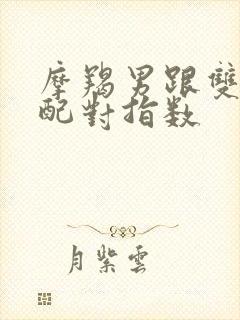 摩羯男跟双子女配对指数