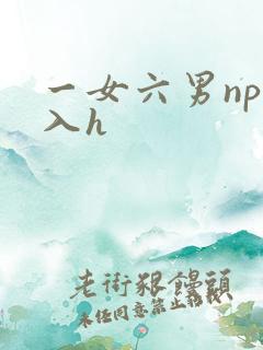 一女六男np慎入h