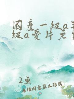 国产一级a毛一级a爱片免费