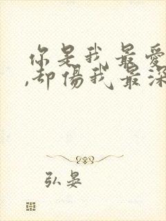 你是我最爱的人,却伤我最深歌词