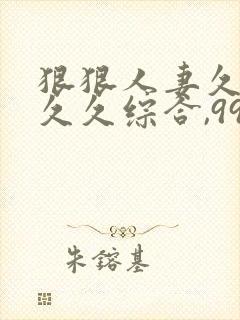 狠狠人妻久久久久久综合,99久久精品