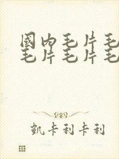 国内毛片毛片毛毛片毛片毛片毛片毛片