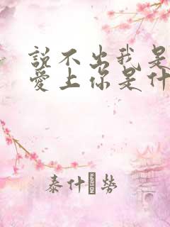 说不出我是真的爱上你是什么歌