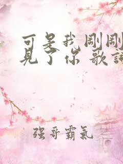 可是我刚刚才遇见了你 歌词