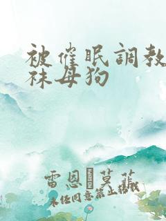 被催眠调教成丝袜母狗