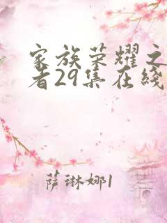 家族荣耀之继承者29集在线观看