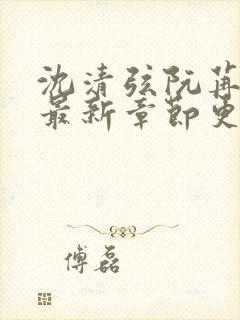 沈清弦阮苒全文最新章节更新