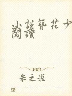 小说簪花少年郎阅读