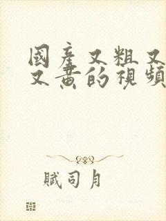 国产又粗又猛爽又黄的视频