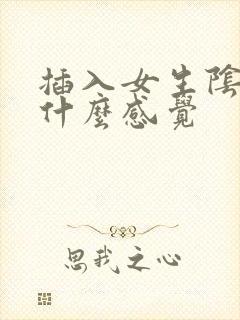 插入女生阴道是什么感觉