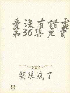 爱没有错电视剧第36集免费观看