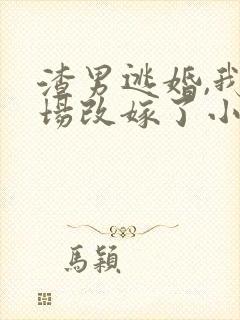 渣男逃婚,我当场改嫁了小说txt